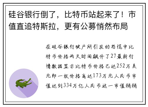 硅谷银行倒了，比特币站起来了！市值直追特斯拉，更有公募悄然布局 